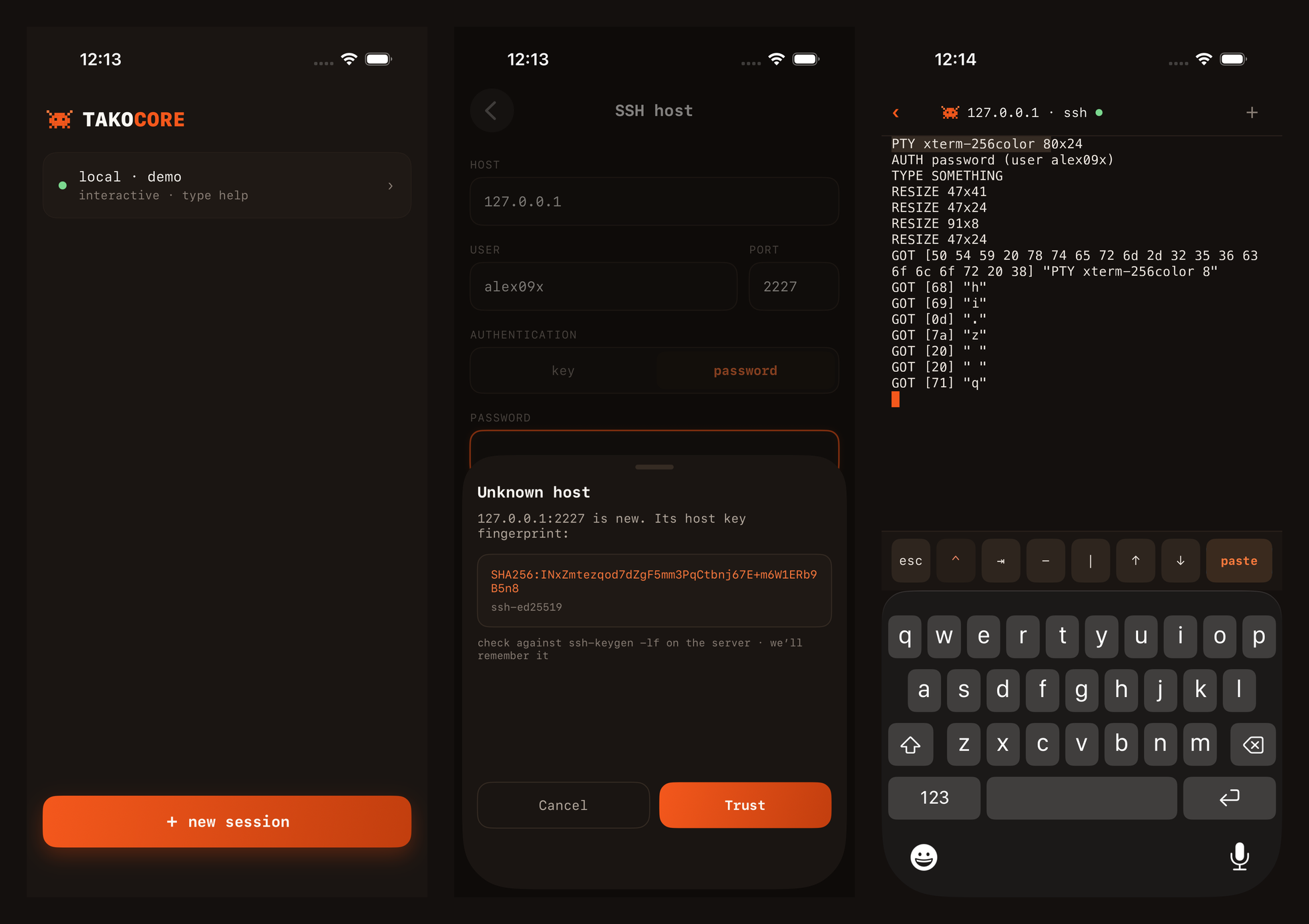 The iOS app: the session list, a first-contact host key prompt, and a debug echo server showing the exact bytes the software keyboard sent